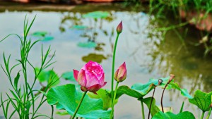Lời khuyên bổ ích giúp ta biết để giữ gìn sức khỏe