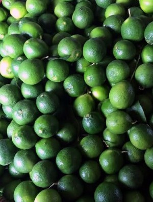 Uống nước chanh mỗi ngày mang đến lợi ích bất ngờ gì?